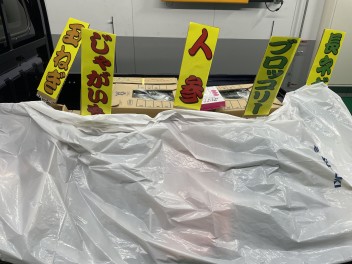 軽トラ市開催！！！！！